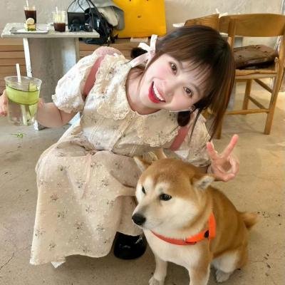 南国艳游